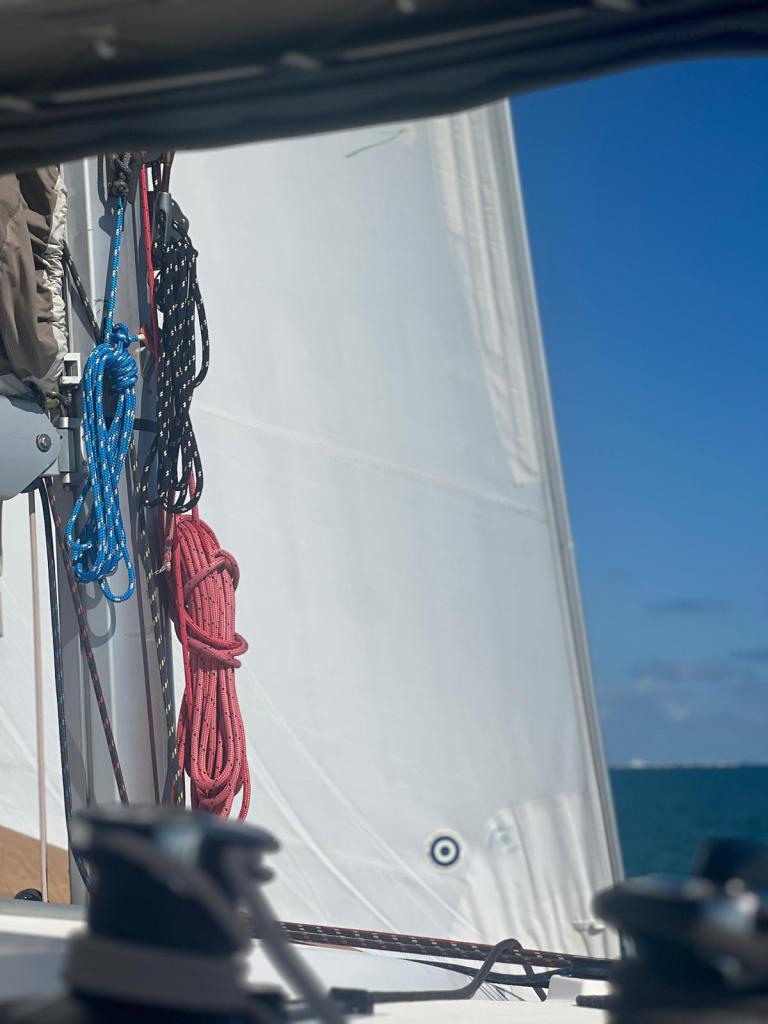 Photo of sail and lines