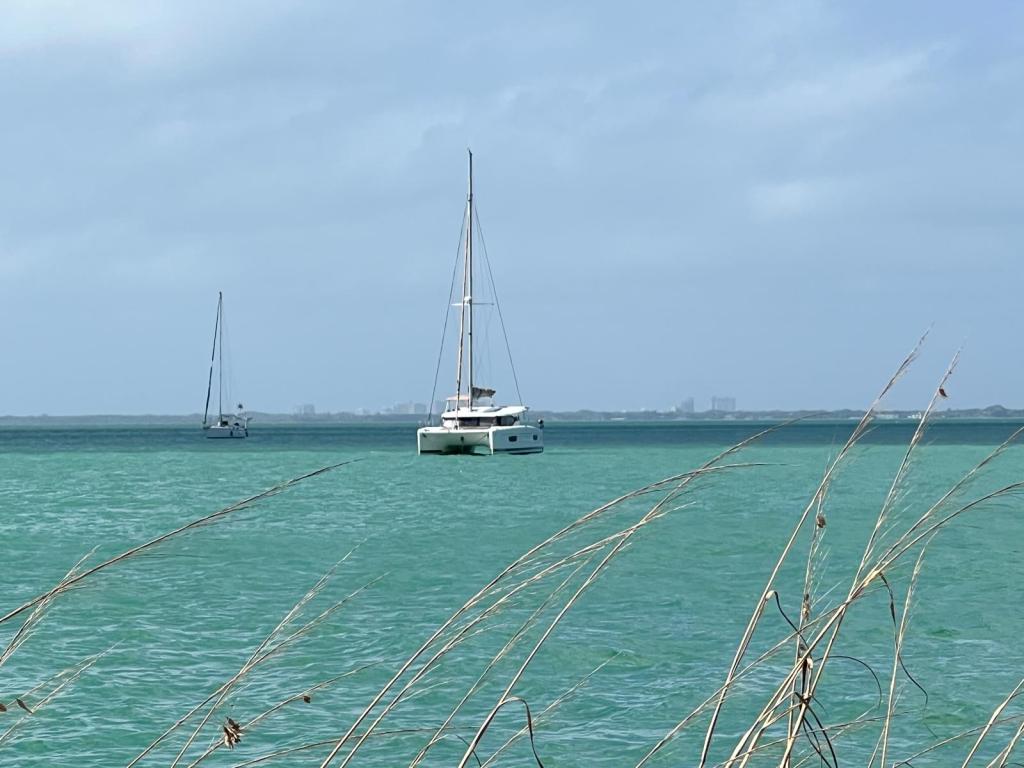 Andares from No Name Harbor