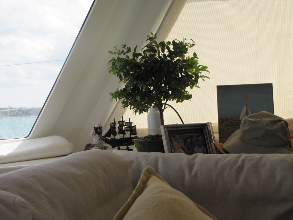 Photo of a corner of Andares which contains a sailboat, tree, and painting