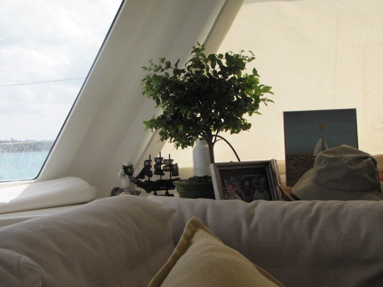 Photo of a corner of Andares which contains a sailboat, tree, and painting